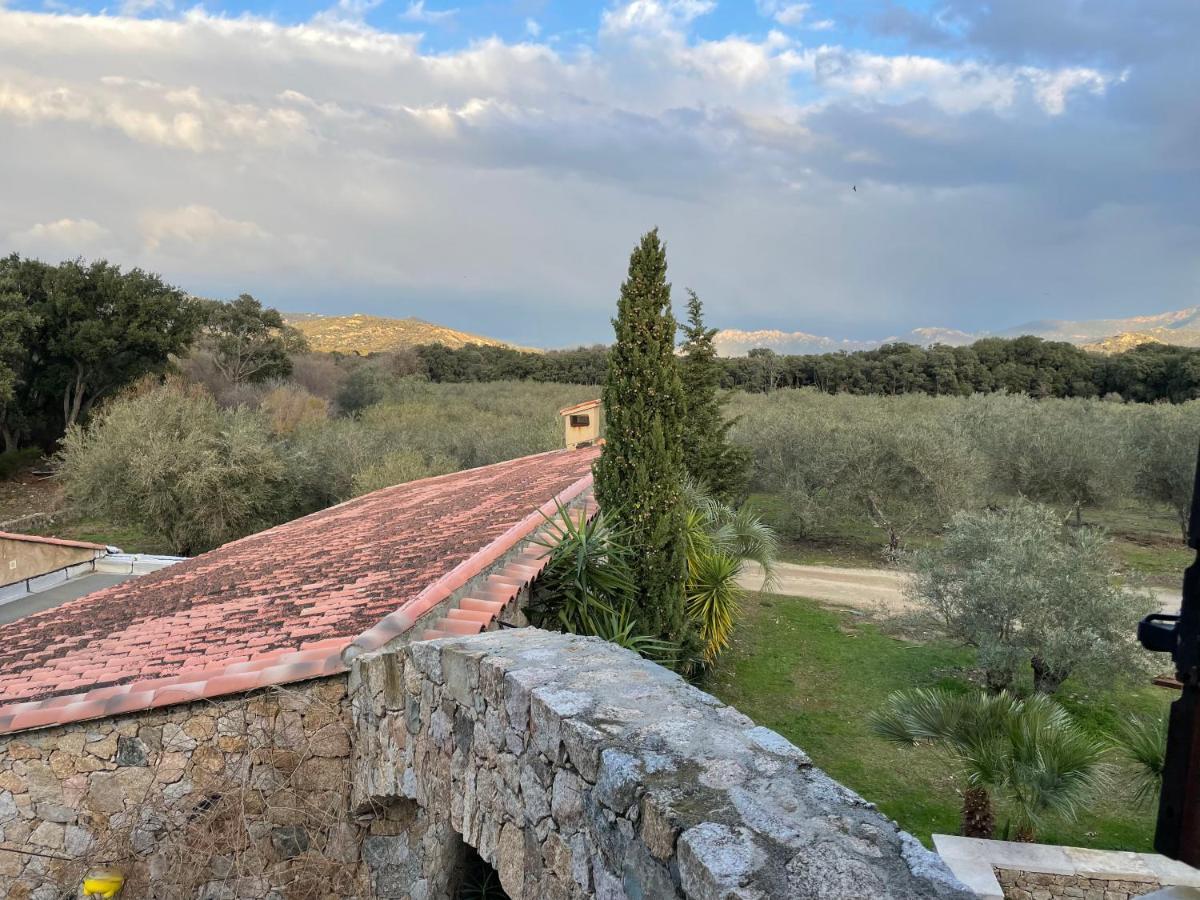 Domaine Du Reginu Hotel Santa-Reparata-di-Balagna Exterior photo